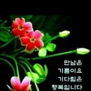 행복통신