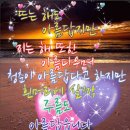 💐 감사함으로 여는 행복한 아침에~♬♪ 💐 (유인호 제공) 이미지