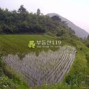 원당리농장 이미지