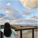 구름이 쉬어가는 곳 | 제주 한경면 카페 그린구름 방문기. 하루 5분 하늘 보며 쉬어가는 곳!