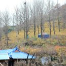 벌랏한지마을 이미지