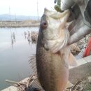 오늘 교동 이미지