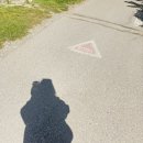 루이스카페 | 🇨🇦 캐나다 워홀 D+151 | 꿈같았던 레이크 루이스 카누 후기
