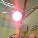 호두나무한의원 이미지