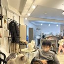 커피타는 고양이 | 커피타는 고양이, 고양이카페, 서울고양이카페, 강북고양이카페