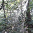 시인공간 이미지