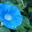 양을로 143번길 6 이미지