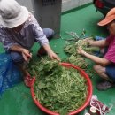 샬롬의 집 이미지