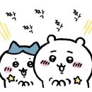 레시즌 이미지