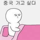 티머 인 호텔 | 2026年1月(상하이 여행을 곁들인...)