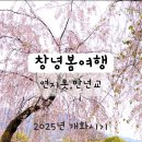 창녕영산커피무제 이미지