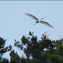 백로마을 이미지