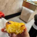 마카오 PC방 | [마카오 홍콩 여행 ep.01] 홍콩에서 마카오 무료버스 타는법 (+세나도광장/에그타르트/NOL 야경투어)