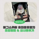 에그 스카이 휴대용 유모차 포레스트그린 / 7개월 아기 실사용후기 조립방법 장점 단점