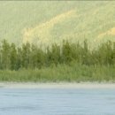 경원대로1347번길 이미지