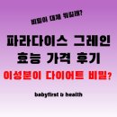 파라다이슨 이미지