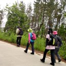 구례포해수욕장(먼동) 이미지