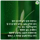 정석건강