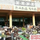 문학동항아리화분