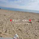 벼리수산 이미지