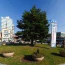 횡계의원 이미지