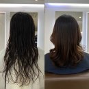 채인디자인 이미지