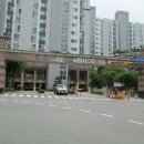 숲속초교 이미지