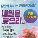 큐사랑 이미지