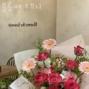 블룸더소브니 이미지