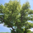 거운리마을회관 이미지