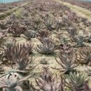 다경농장 이미지