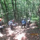 표교초교 이미지