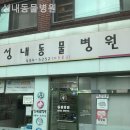 성내동물병원 이미지