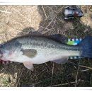 참좋은자동차공업사 이미지