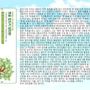 주식회사 명품