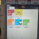 고양이카페 | 성수 실내 놀거리 추천｜구조묘와 교감하는 서울 고양이 카페 후기