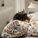 고수의 운전면허 상봉점 이미지