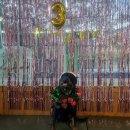 아이앤독 이미지