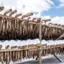 야옹아 멍멍해봐(수원 구운점) 이미지