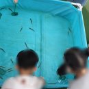 인솔농장 이미지