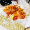 독도꽃새우 이미지