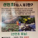 생오리마당 이미지