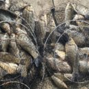 성호낚시터 이미지