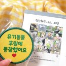 이룸덴탈 | 강아지치석제거제 | 강아지잇몸피에 파파메디 메디덴탈 분말형