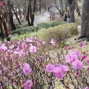 남산근린공원_R 이미지