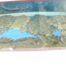 부광횟집 이미지