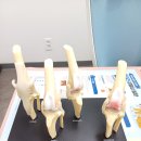 우리종합 동물병원 이미지