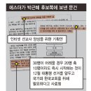 에스더 티스토리