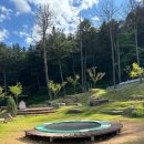 에델바이스어린이집 | 서울근교 아기랑가볼만한 곳 가평 에델바이스 스위스테마파크