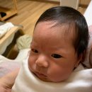 예쁜이PC | [산후조리원] 월계 와이엘(구,동그라미)산후조리원 이용 후기